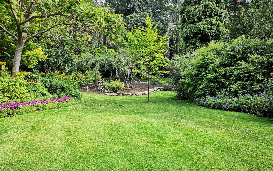 Transformeer uw tuin in een groen paradijs met deze handige oplossing